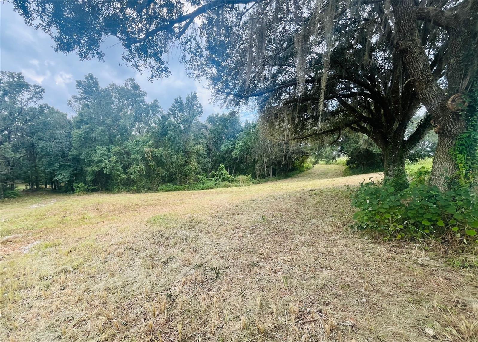33234 CHIPCO RANCH RD, DADE CITY, FL, 33523