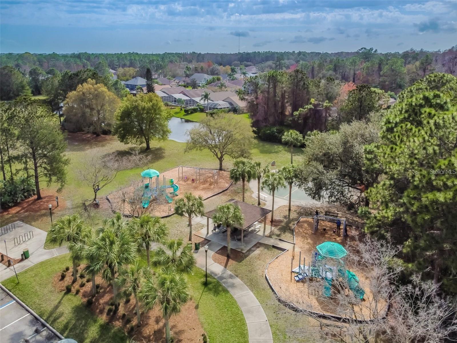 14709 CORAL BERRY DR, TAMPA, FL, 33626