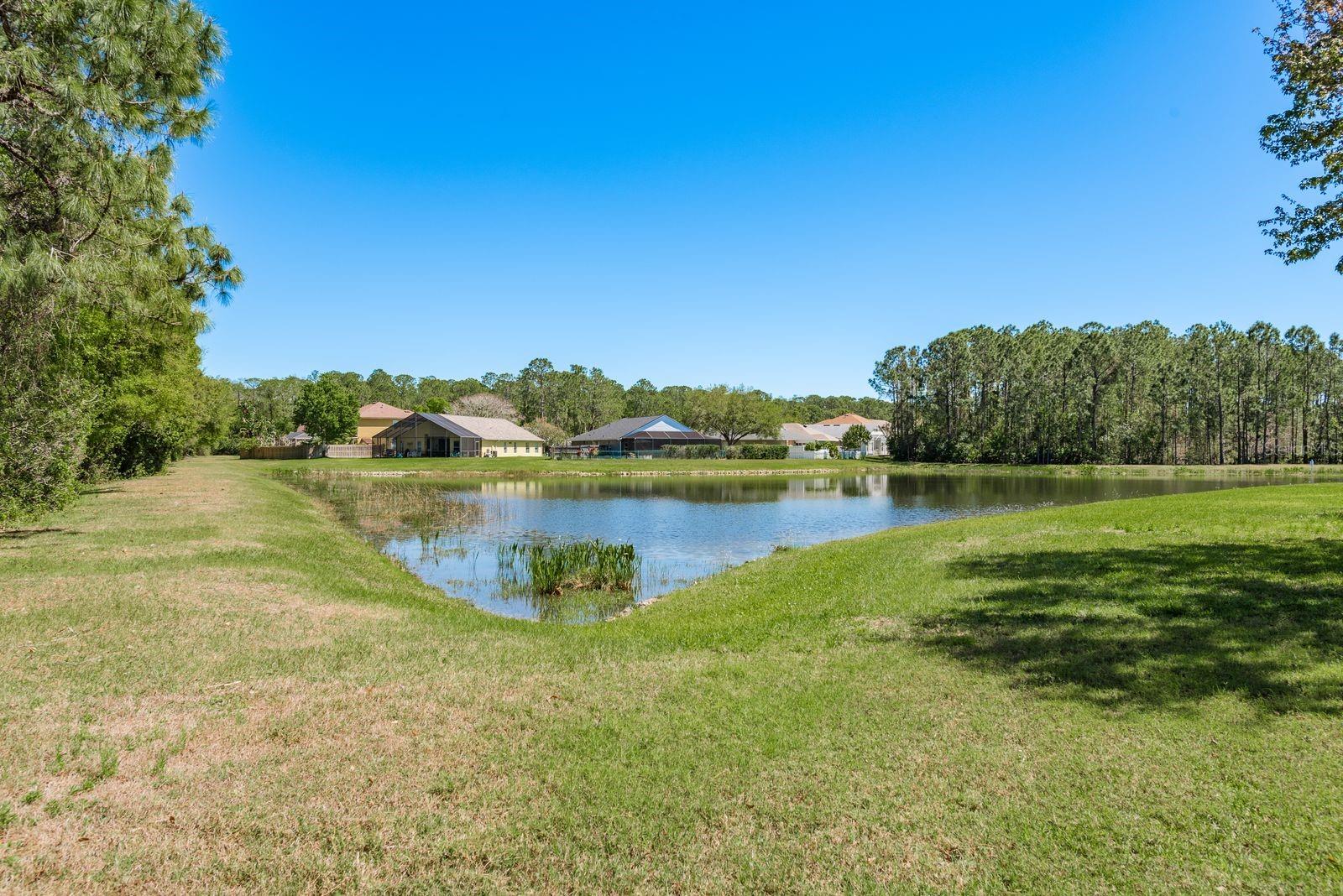 14709 CORAL BERRY DR, TAMPA, FL, 33626