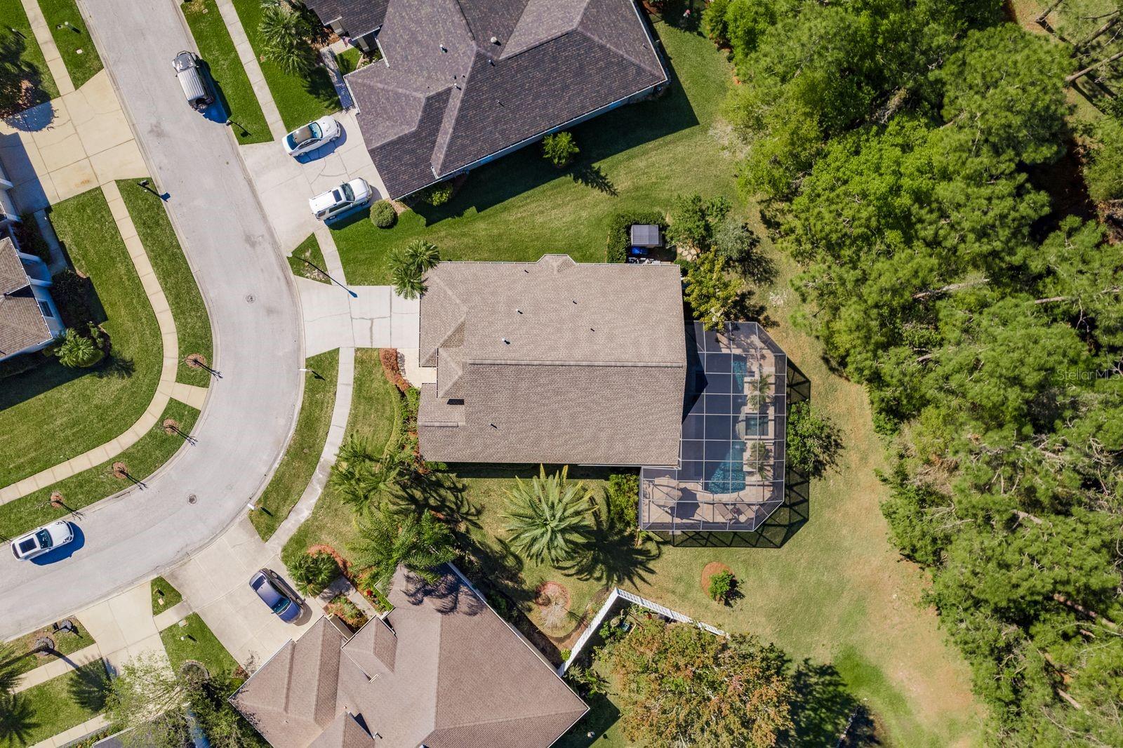 14709 CORAL BERRY DR, TAMPA, FL, 33626