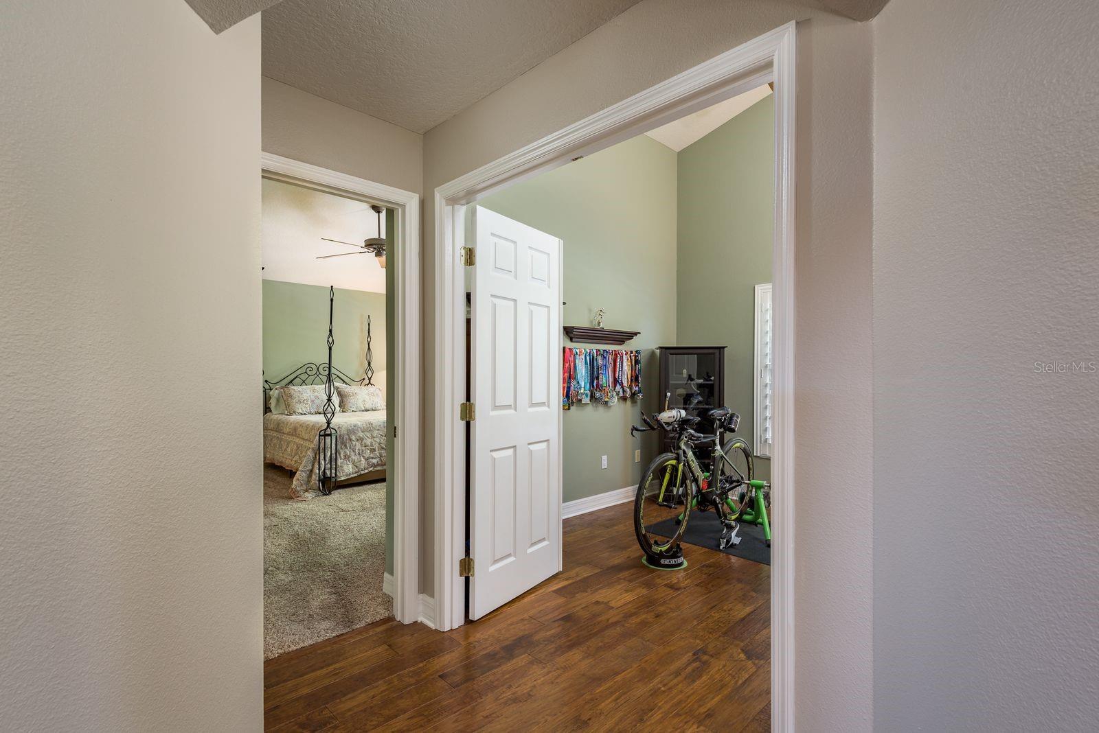 14709 CORAL BERRY DR, TAMPA, FL, 33626
