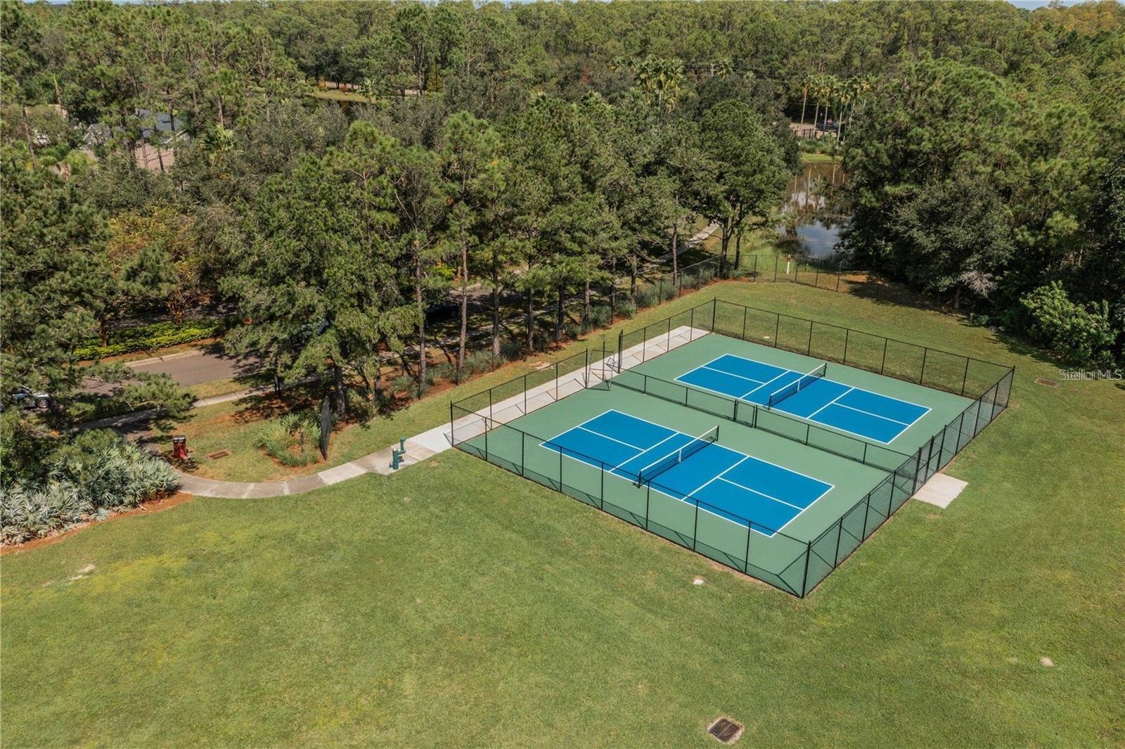 14709 CORAL BERRY DR, TAMPA, FL, 33626