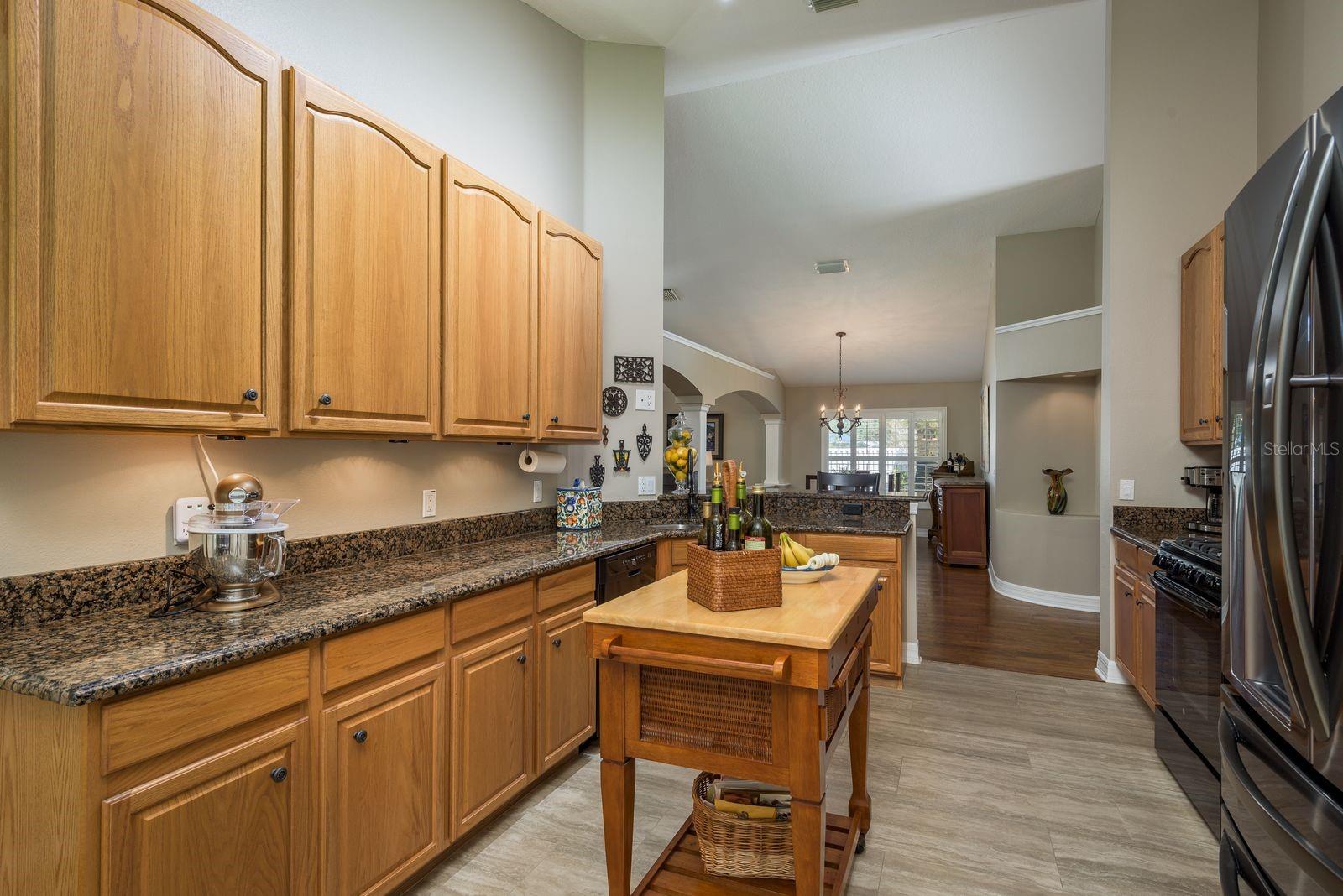 14709 CORAL BERRY DR, TAMPA, FL, 33626