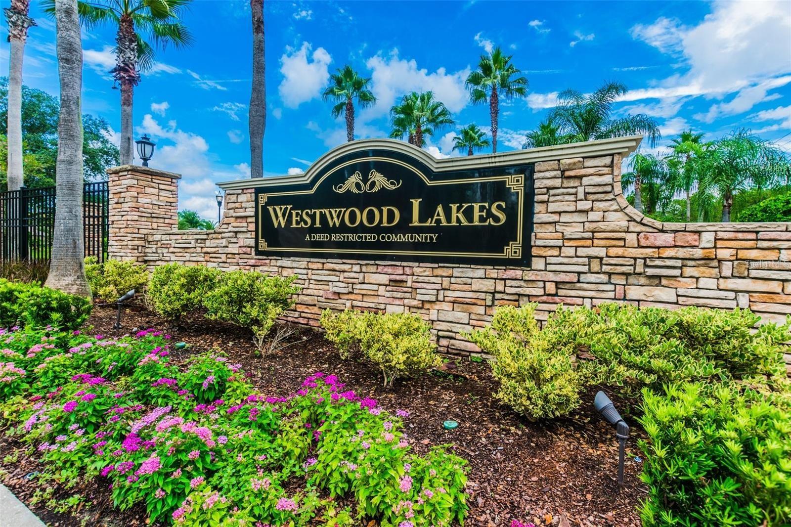 14709 CORAL BERRY DR, TAMPA, FL, 33626