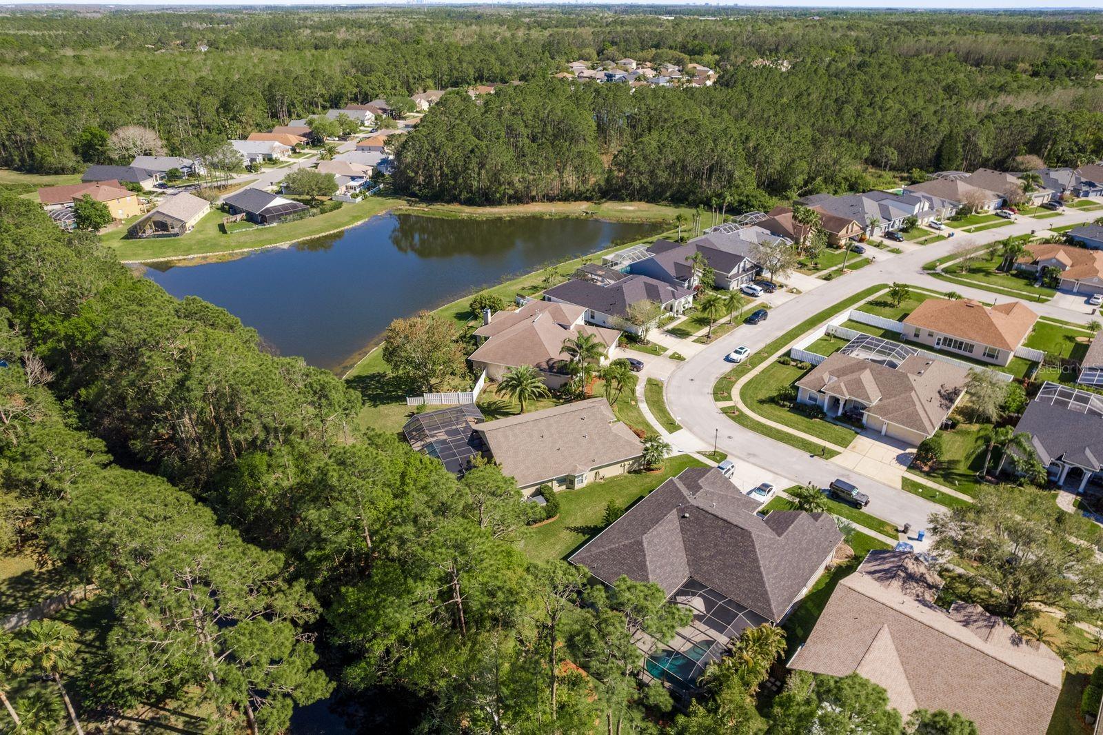 14709 CORAL BERRY DR, TAMPA, FL, 33626