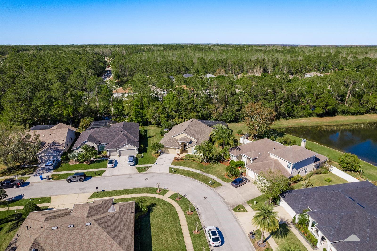 14709 CORAL BERRY DR, TAMPA, FL, 33626