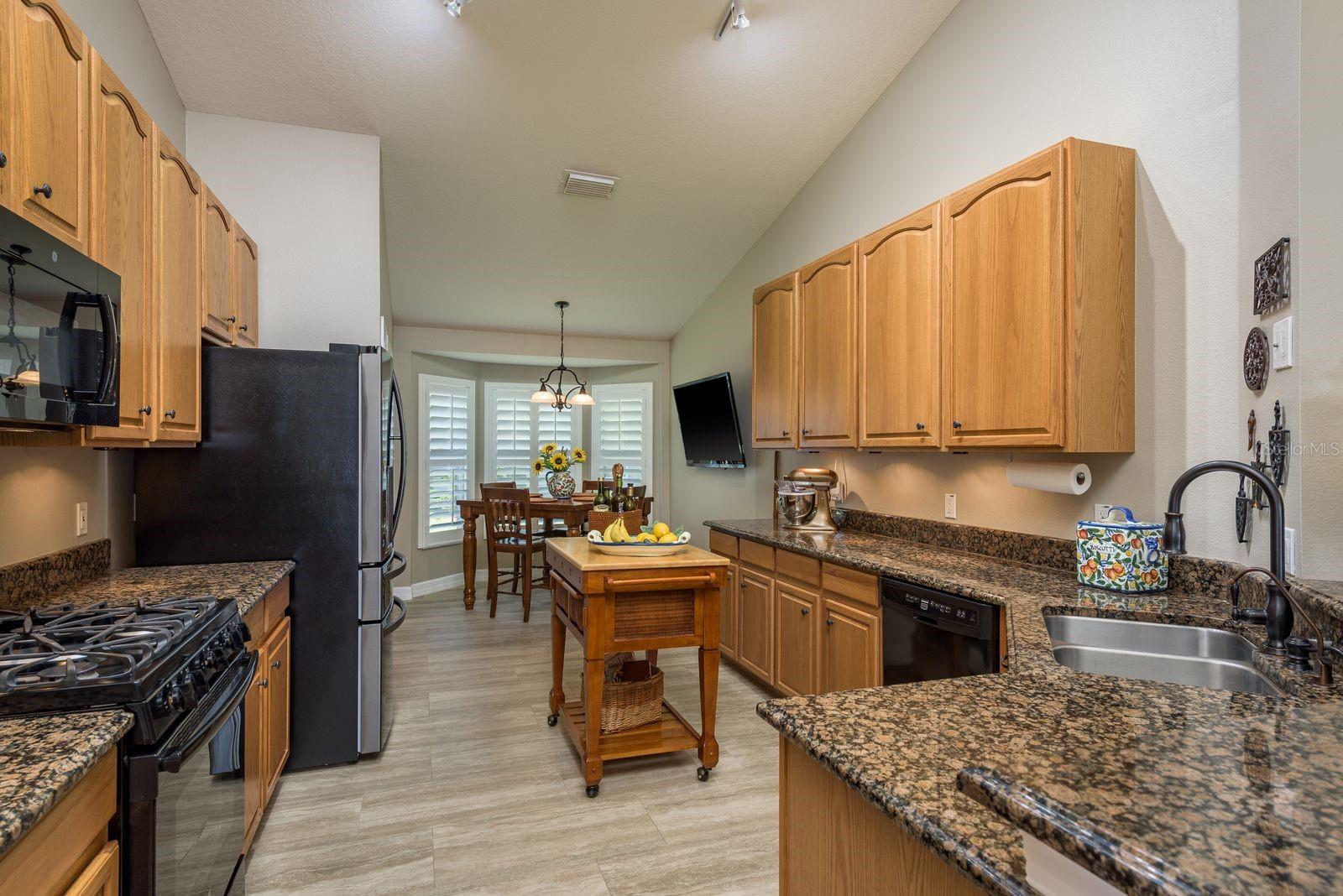 14709 CORAL BERRY DR, TAMPA, FL, 33626