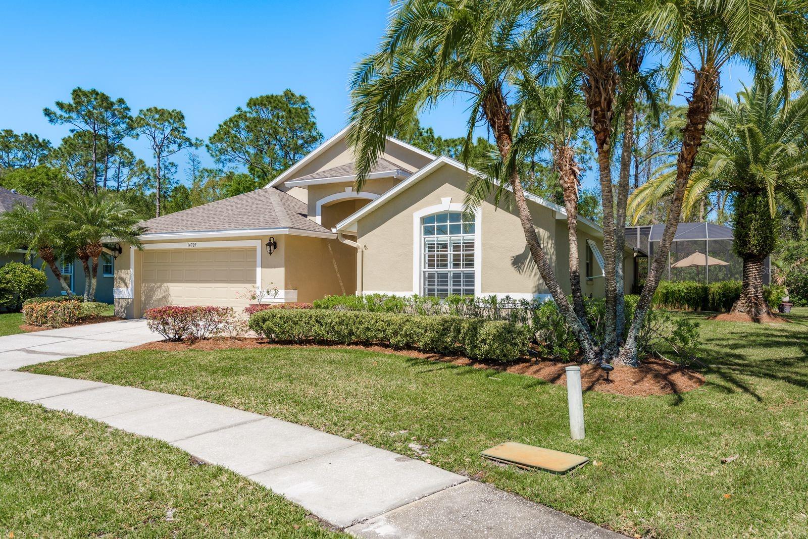 14709 CORAL BERRY DR, TAMPA, FL, 33626