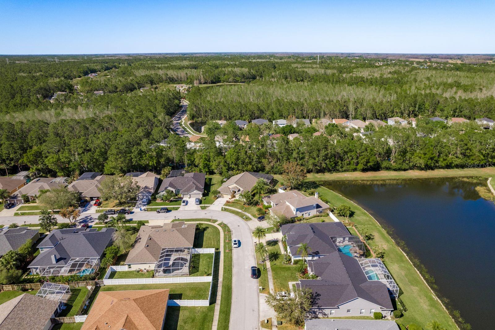 14709 CORAL BERRY DR, TAMPA, FL, 33626