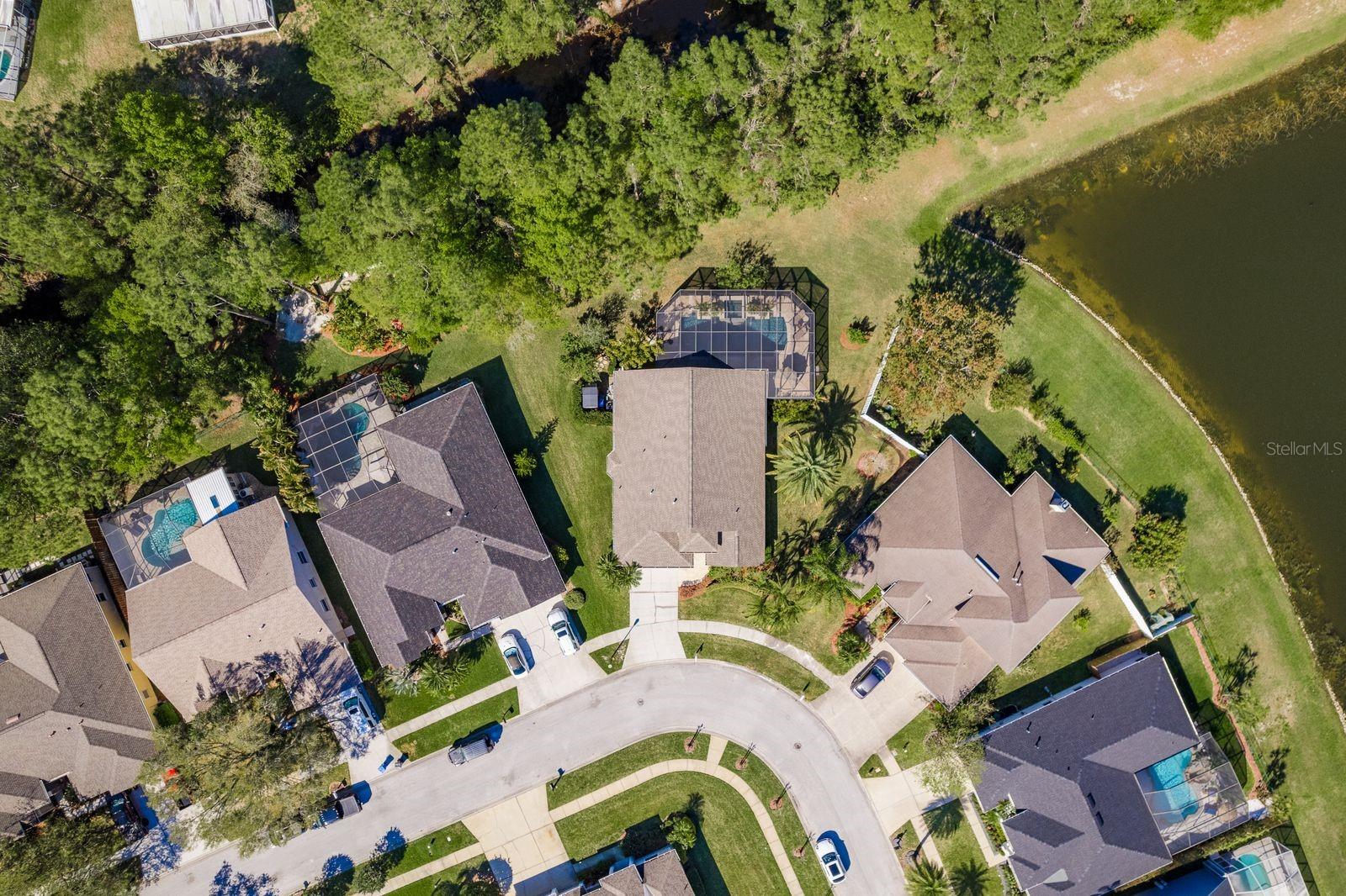 14709 CORAL BERRY DR, TAMPA, FL, 33626