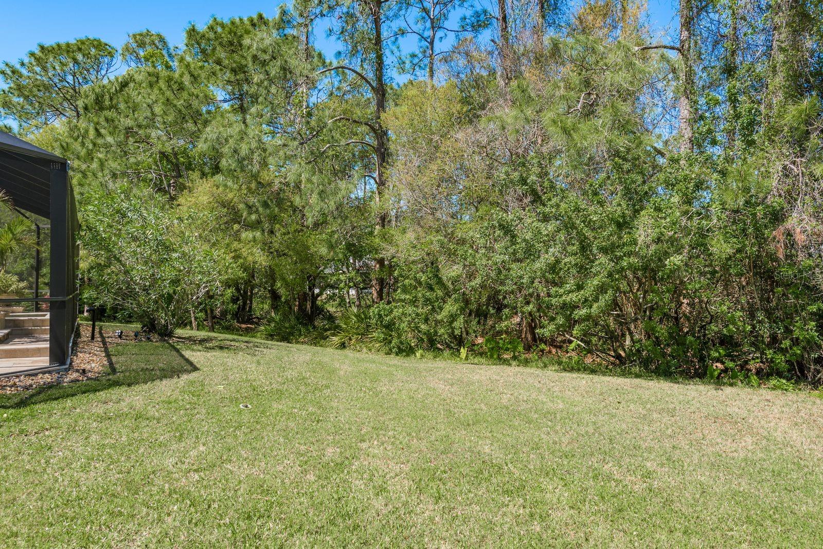 14709 CORAL BERRY DR, TAMPA, FL, 33626