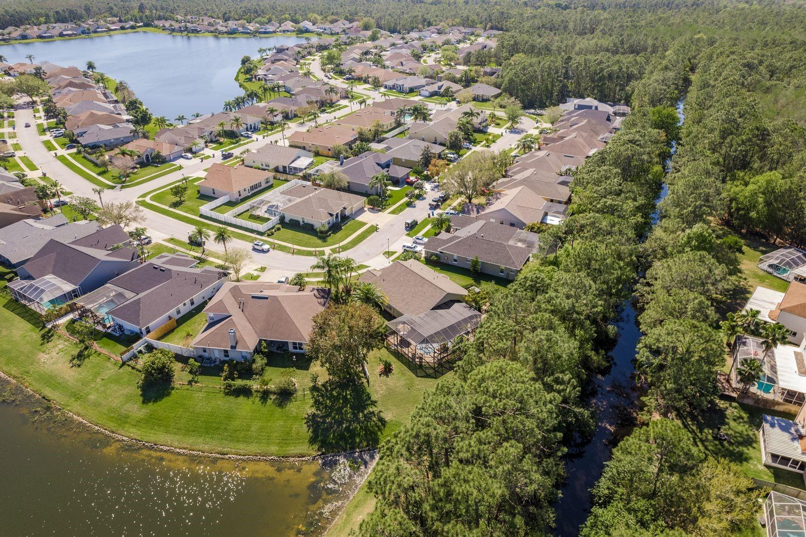 14709 CORAL BERRY DR, TAMPA, FL, 33626