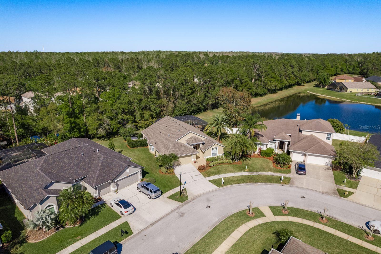 14709 CORAL BERRY DR, TAMPA, FL, 33626