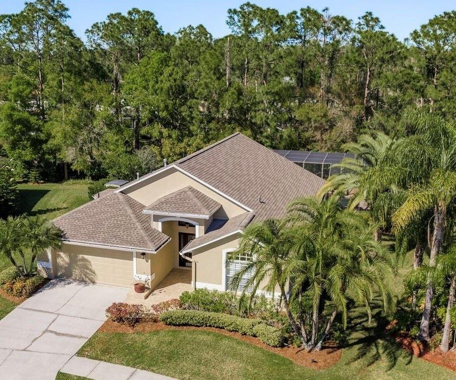 14709 CORAL BERRY DR, TAMPA, FL, 33626