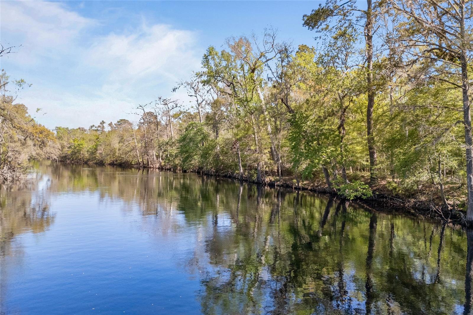 19806 NW 272ND TER, HIGH SPRINGS, FL, 32643