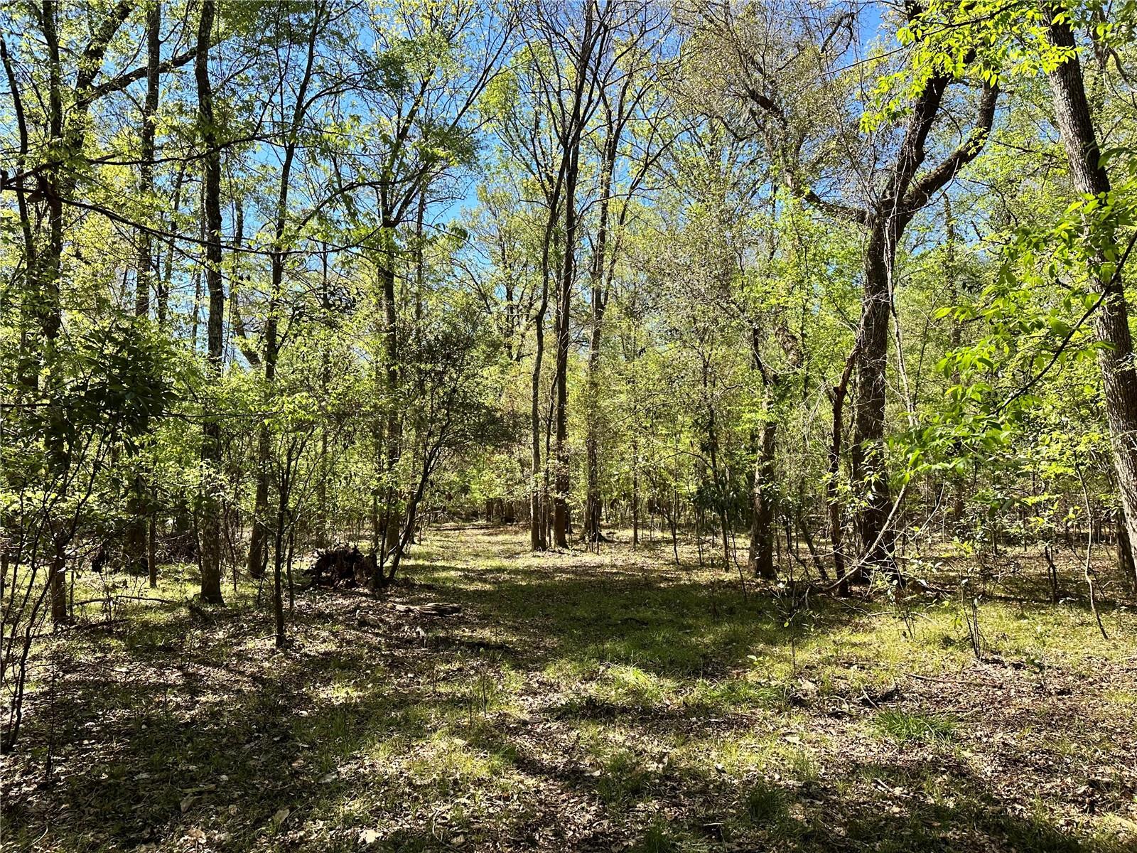 19806 NW 272ND TER, HIGH SPRINGS, FL, 32643
