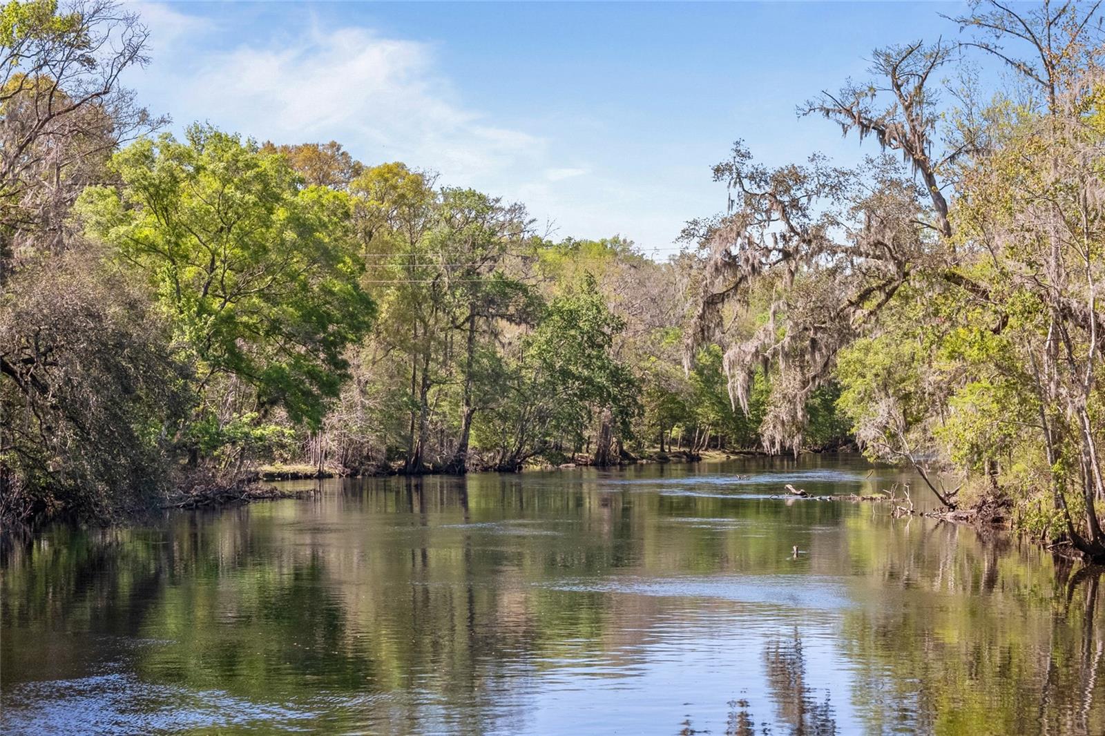 19806 NW 272ND TER, HIGH SPRINGS, FL, 32643