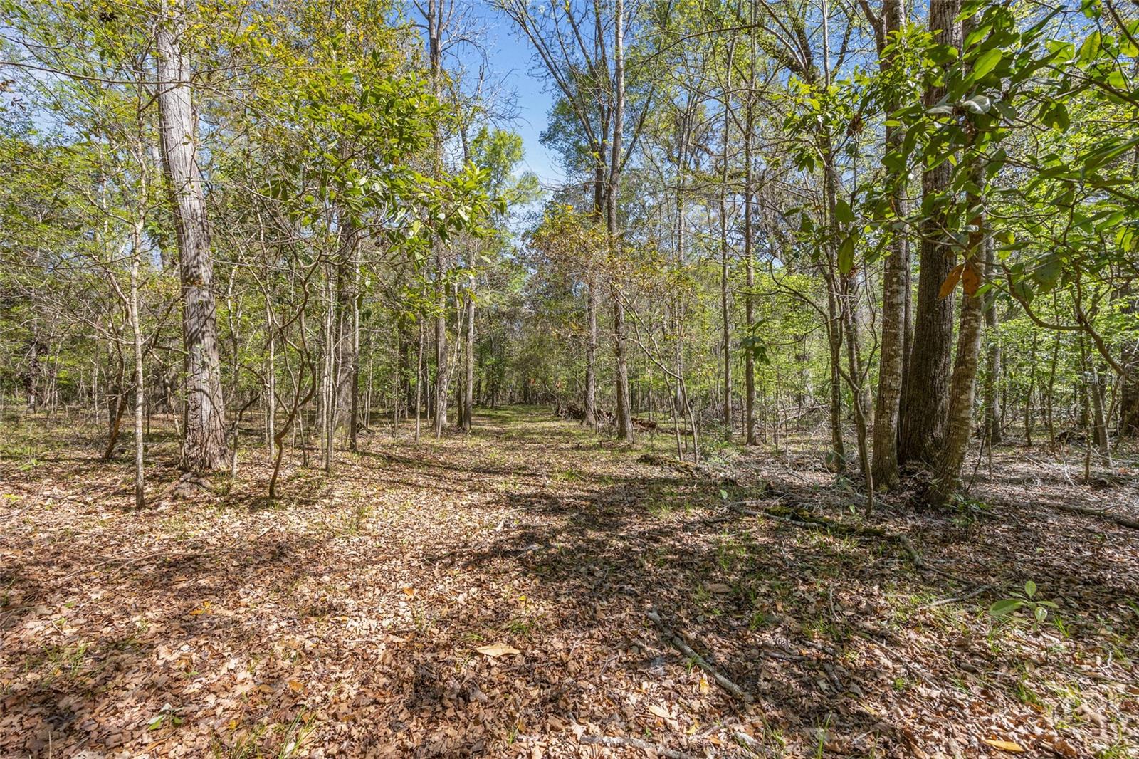 19806 NW 272ND TER, HIGH SPRINGS, FL, 32643