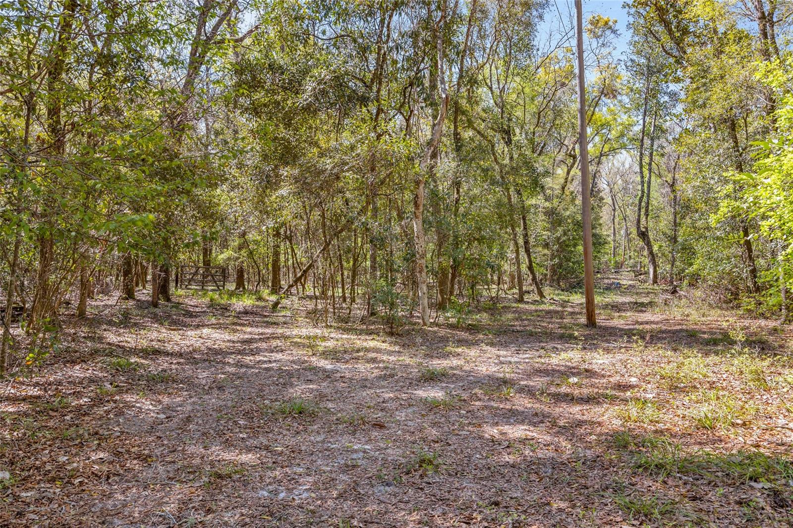 19806 NW 272ND TER, HIGH SPRINGS, FL, 32643