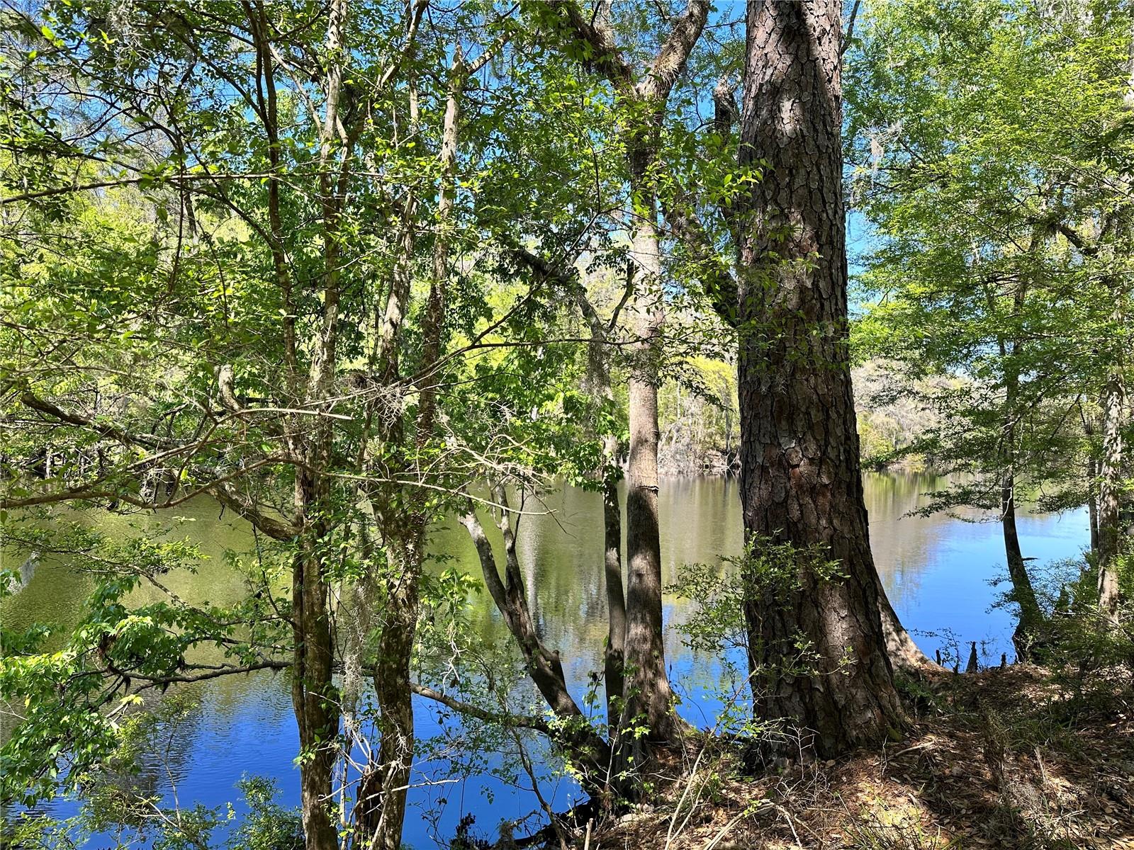 19806 NW 272ND TER, HIGH SPRINGS, FL, 32643