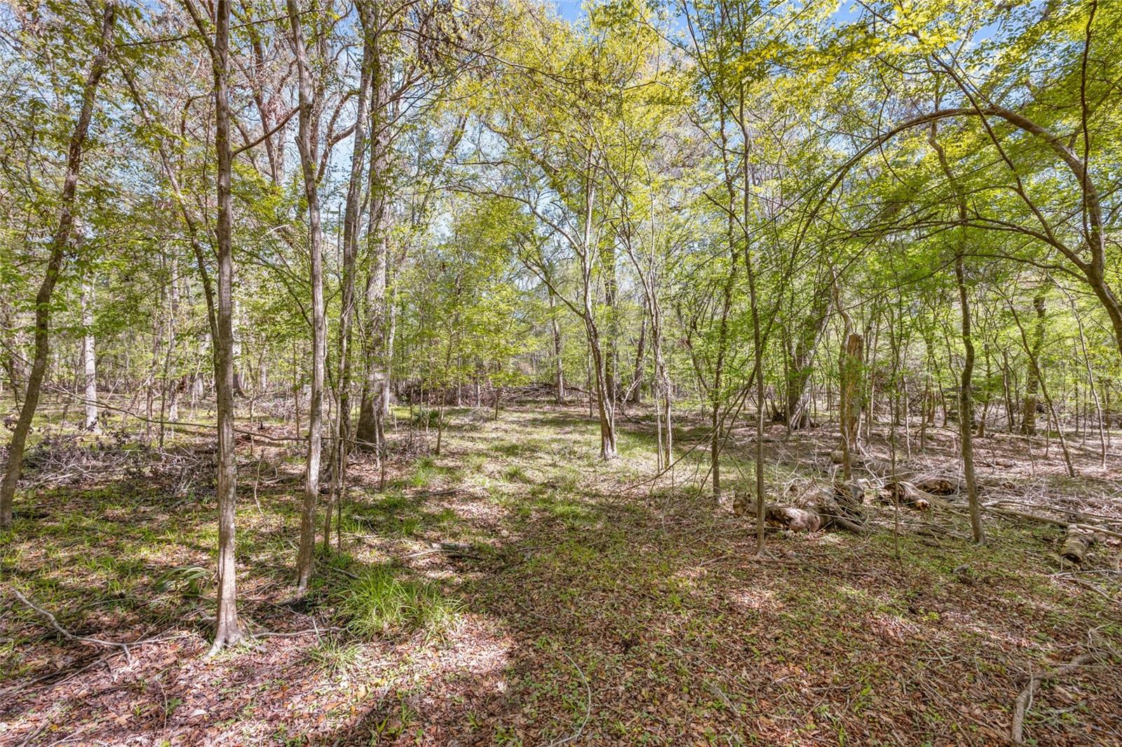 19806 NW 272ND TER, HIGH SPRINGS, FL, 32643