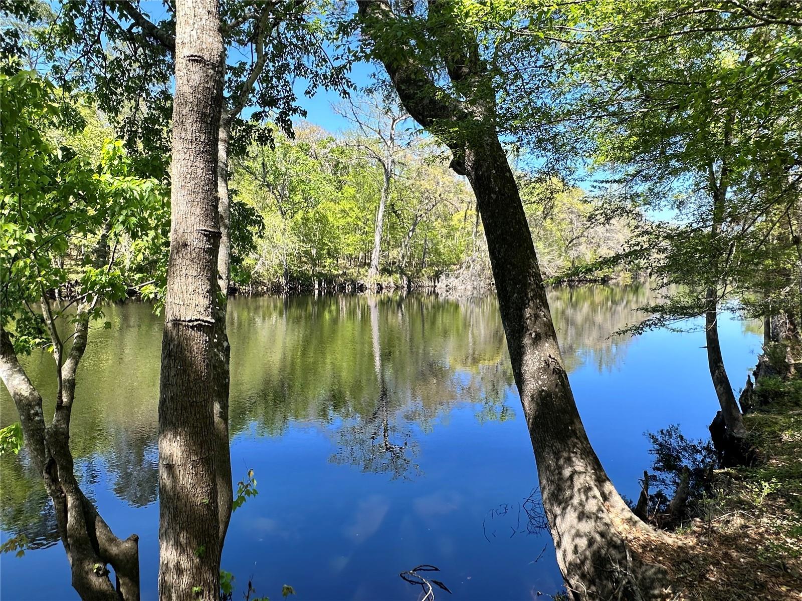 19806 NW 272ND TER, HIGH SPRINGS, FL, 32643