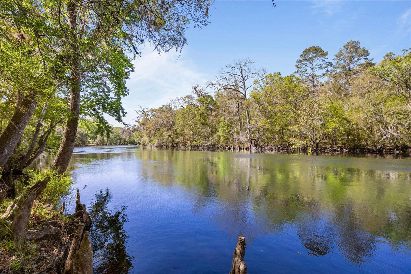 19806 NW 272ND TER, HIGH SPRINGS, FL, 32643