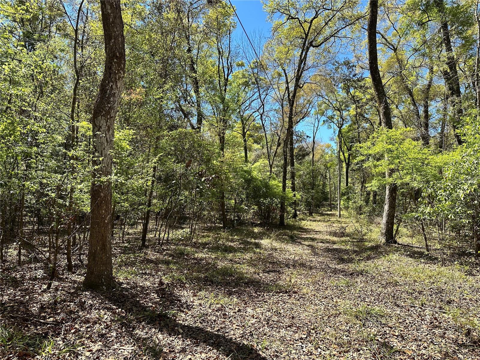 19806 NW 272ND TER, HIGH SPRINGS, FL, 32643