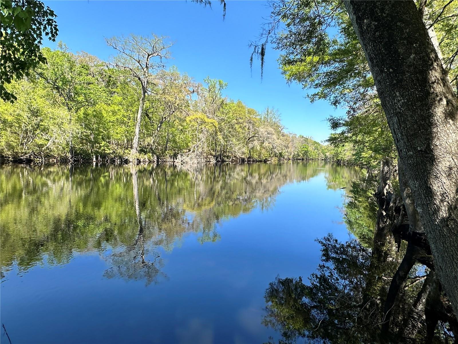 19806 NW 272ND TER, HIGH SPRINGS, FL, 32643