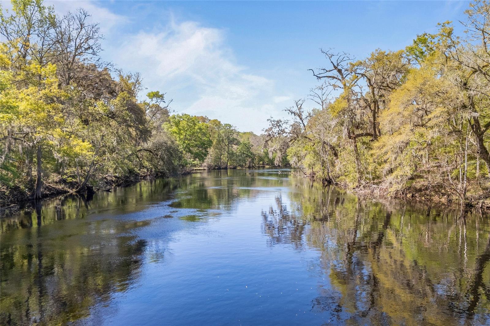 19806 NW 272ND TER, HIGH SPRINGS, FL, 32643