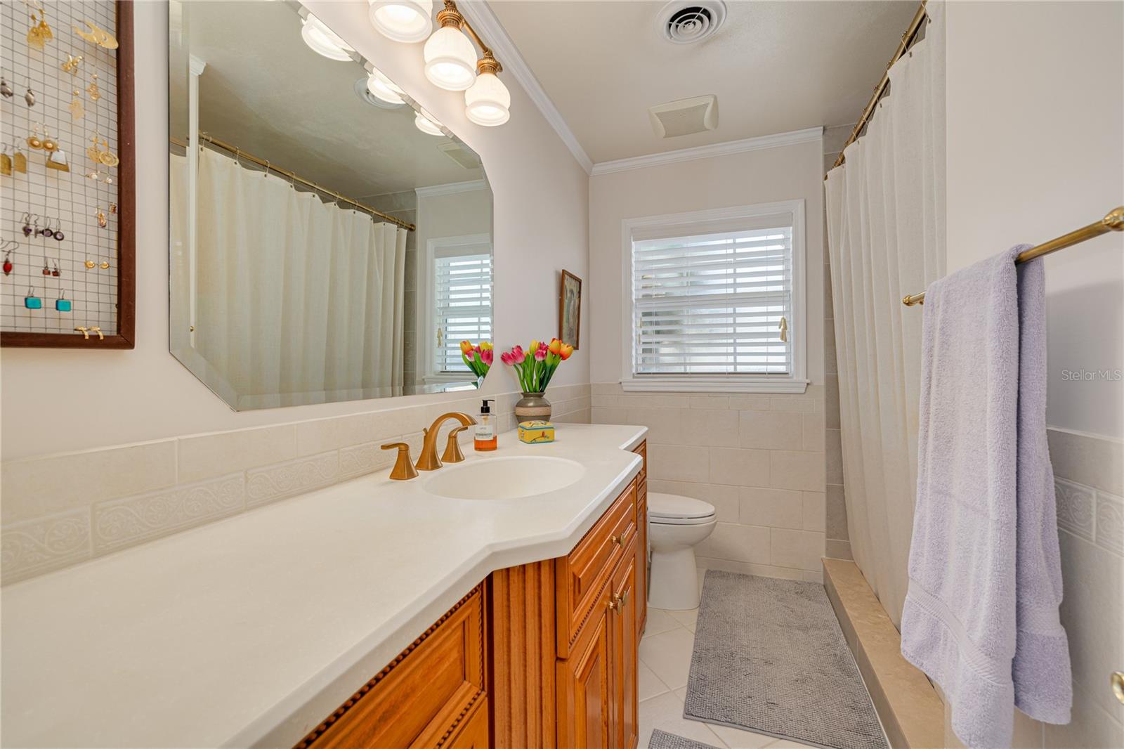 3187 SAN MATEO ST, CLEARWATER, FL, 33759