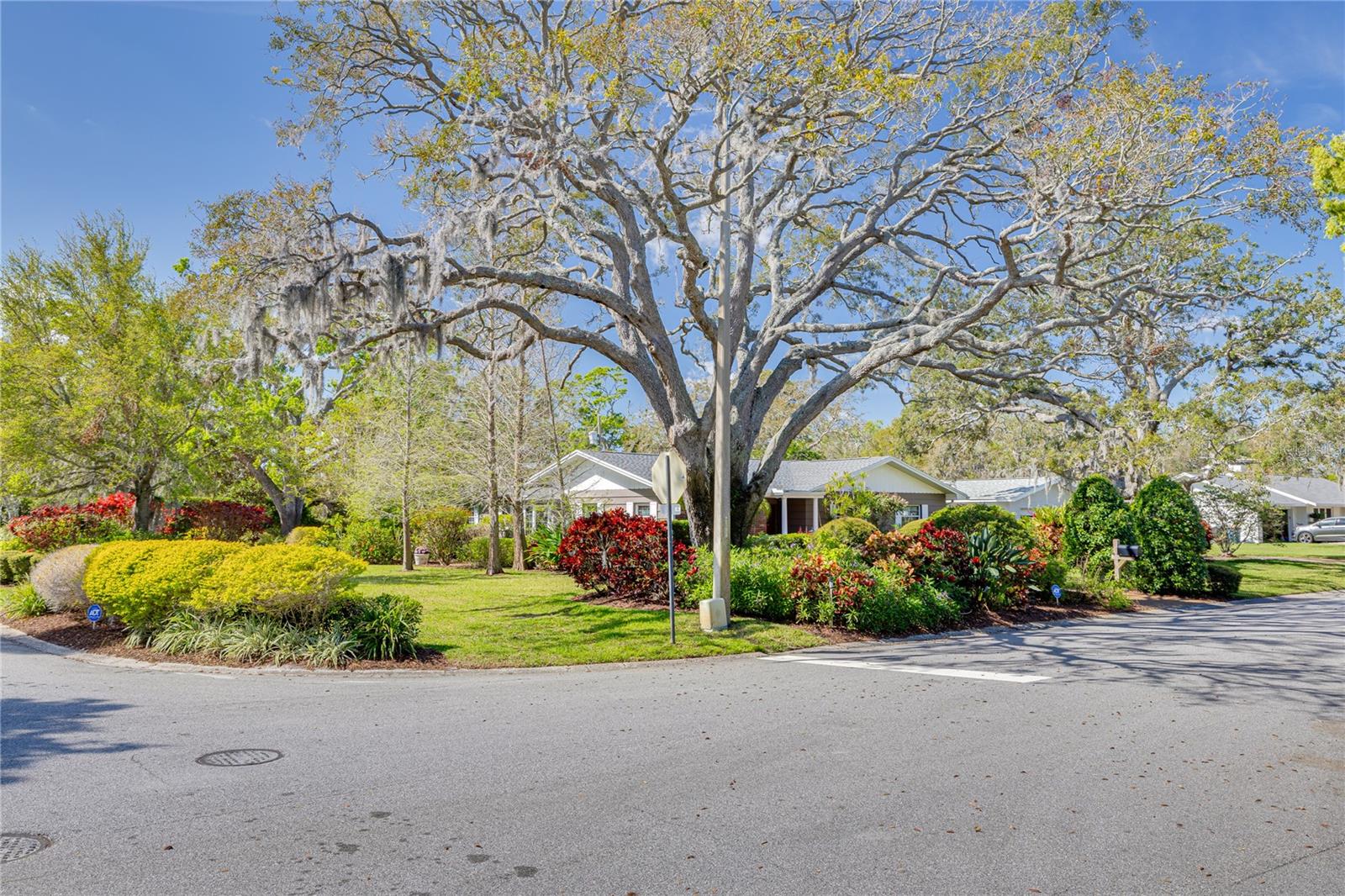 3187 SAN MATEO ST, CLEARWATER, FL, 33759