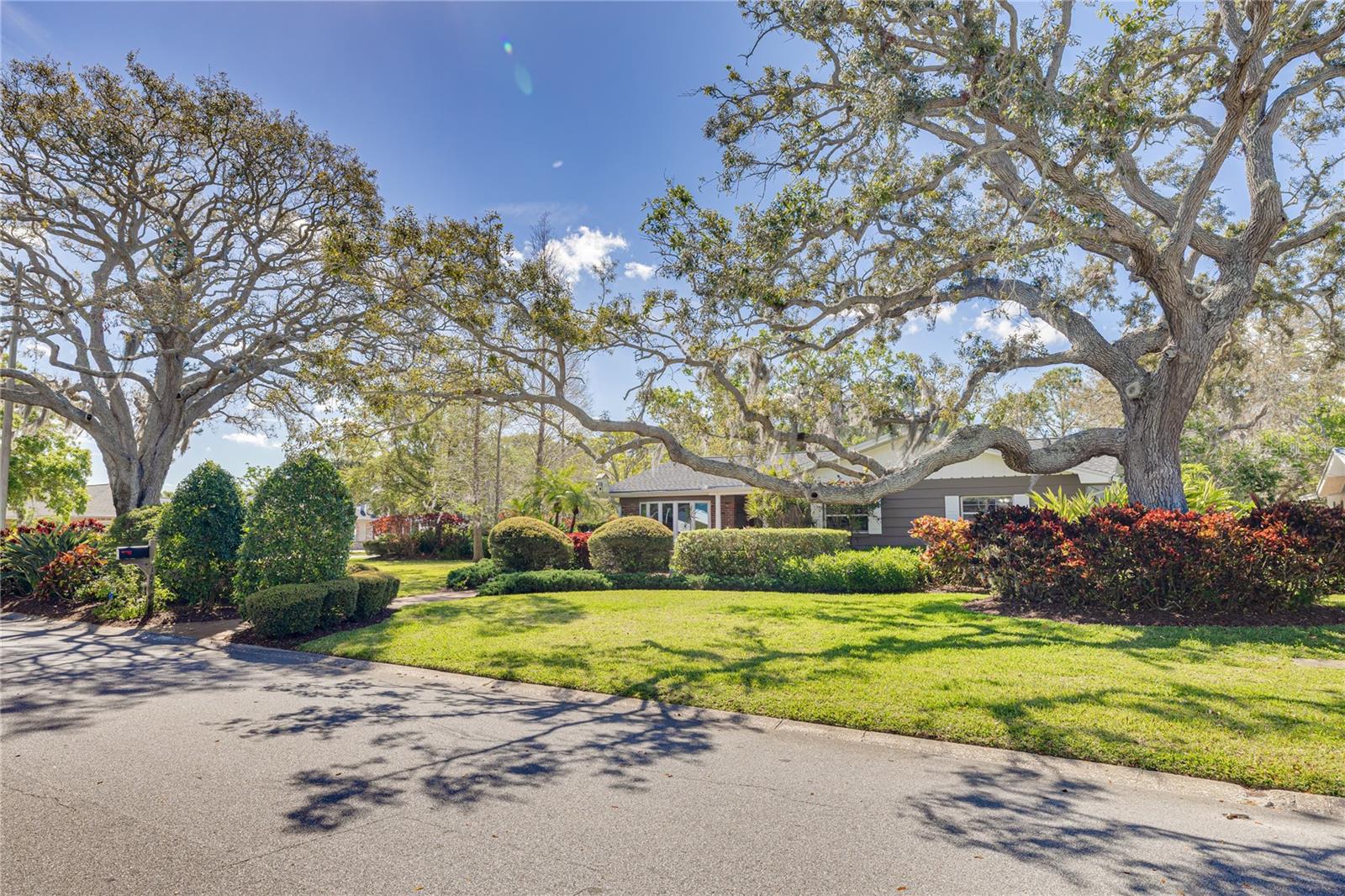 3187 SAN MATEO ST, CLEARWATER, FL, 33759