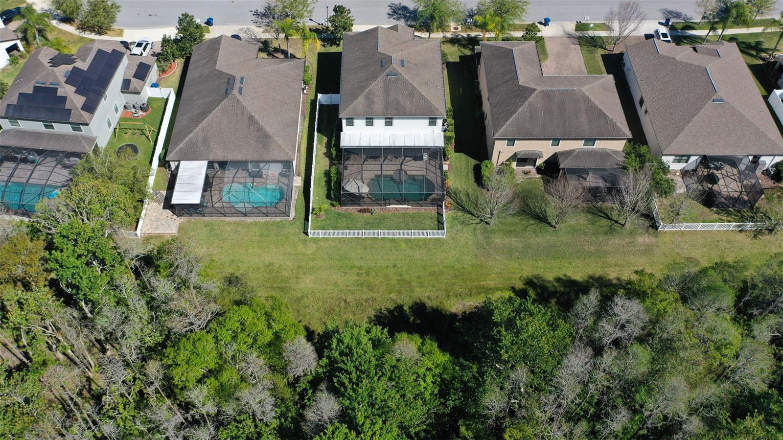 12239 CRESTRIDGE LOOP, TRINITY, FL, 34655