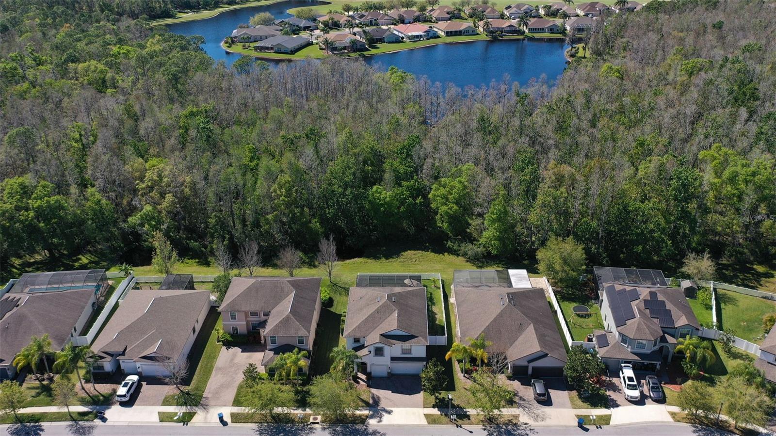 12239 CRESTRIDGE LOOP, TRINITY, FL, 34655