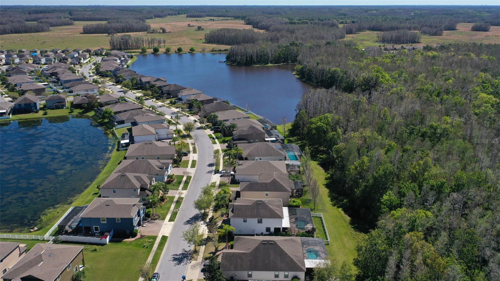 12239 CRESTRIDGE LOOP, TRINITY, FL, 34655