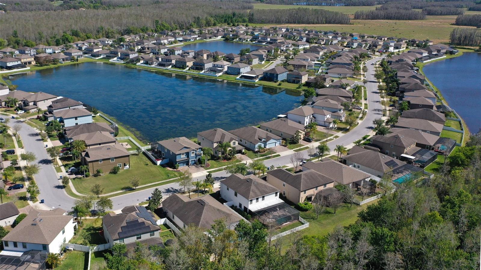 12239 CRESTRIDGE LOOP, TRINITY, FL, 34655