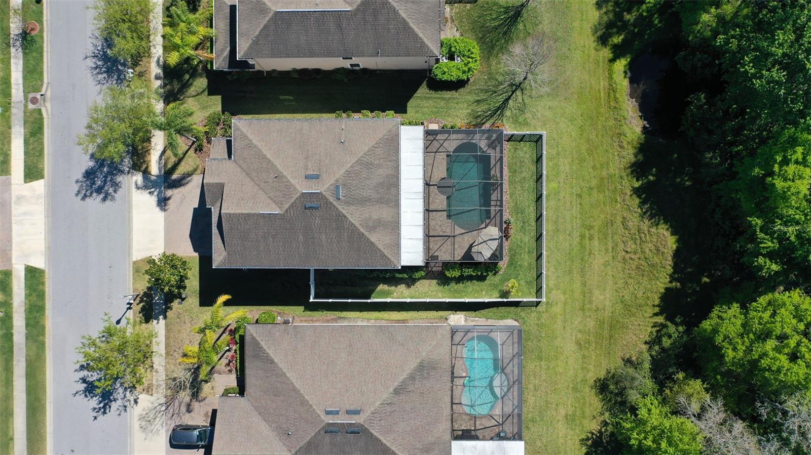 12239 CRESTRIDGE LOOP, TRINITY, FL, 34655