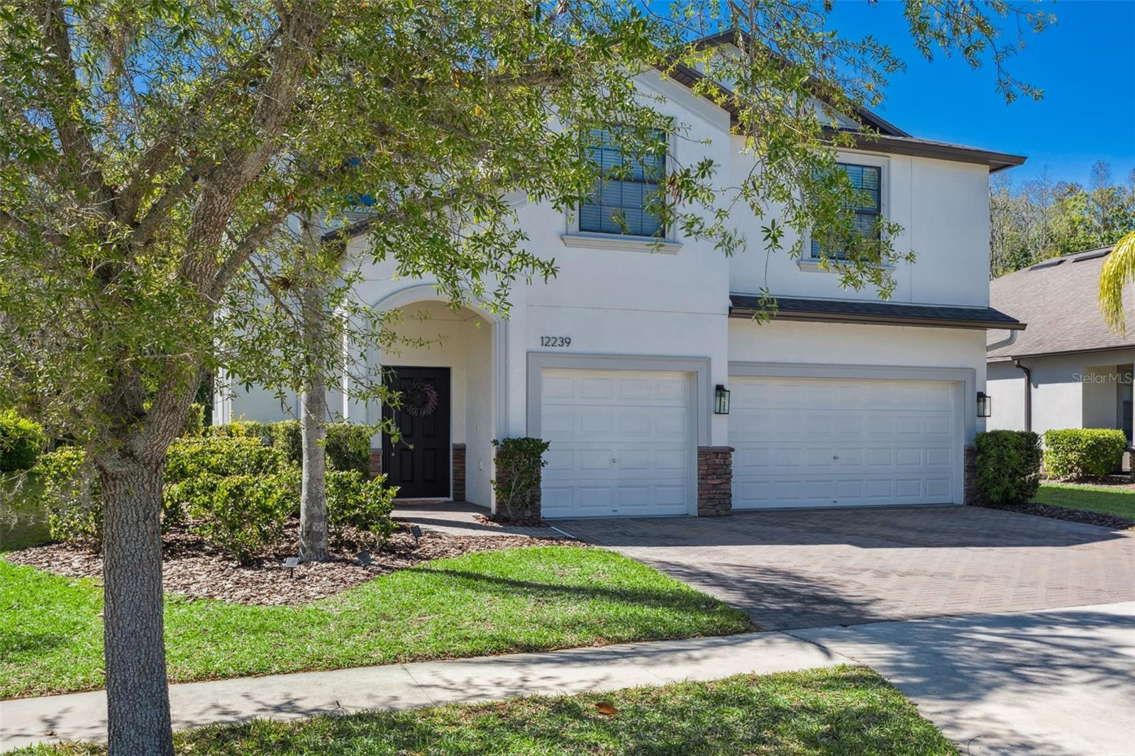 12239 CRESTRIDGE LOOP, TRINITY, FL, 34655