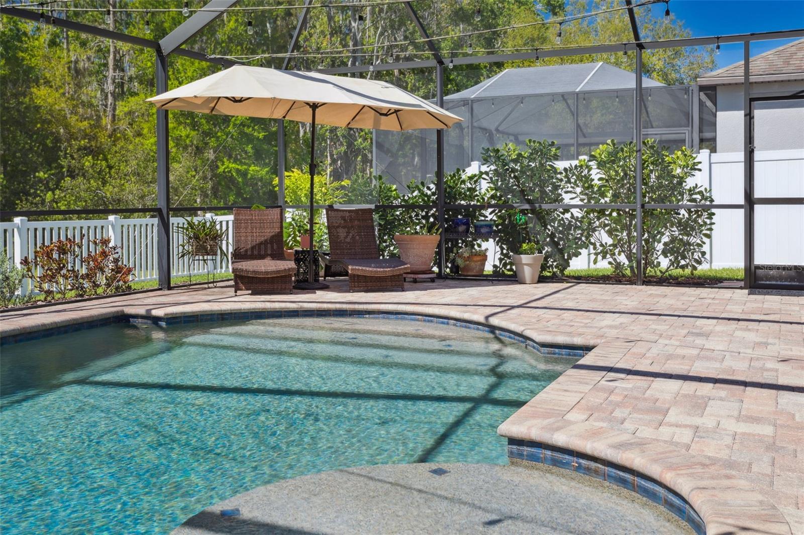 12239 CRESTRIDGE LOOP, TRINITY, FL, 34655