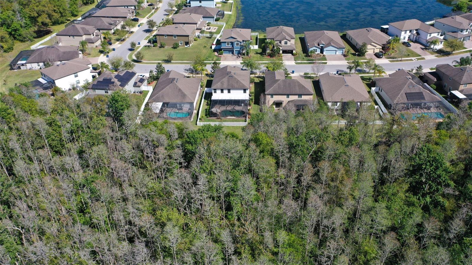 12239 CRESTRIDGE LOOP, TRINITY, FL, 34655