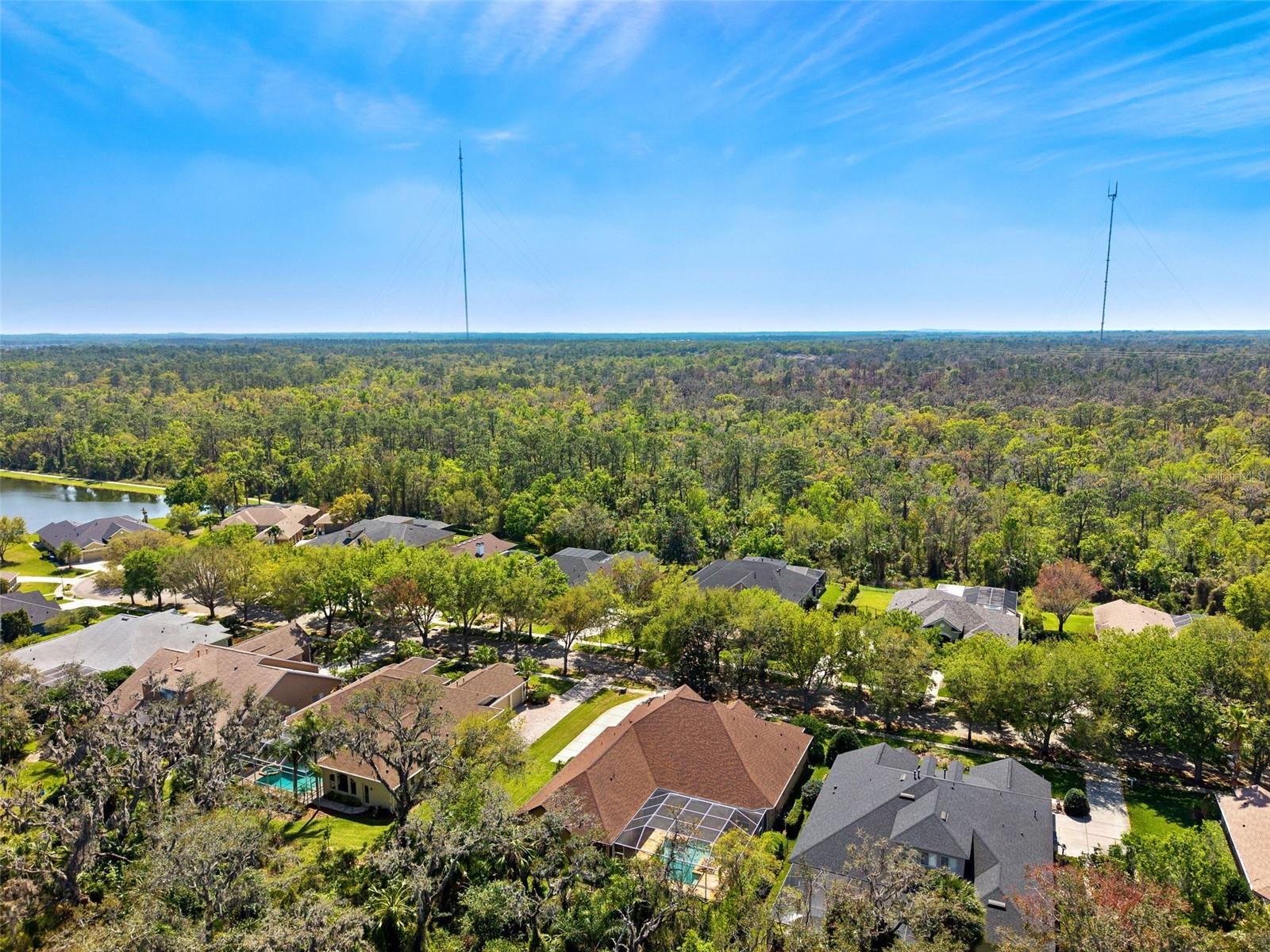 6130 KESTRELRIDGE DR, LITHIA, FL, 33547