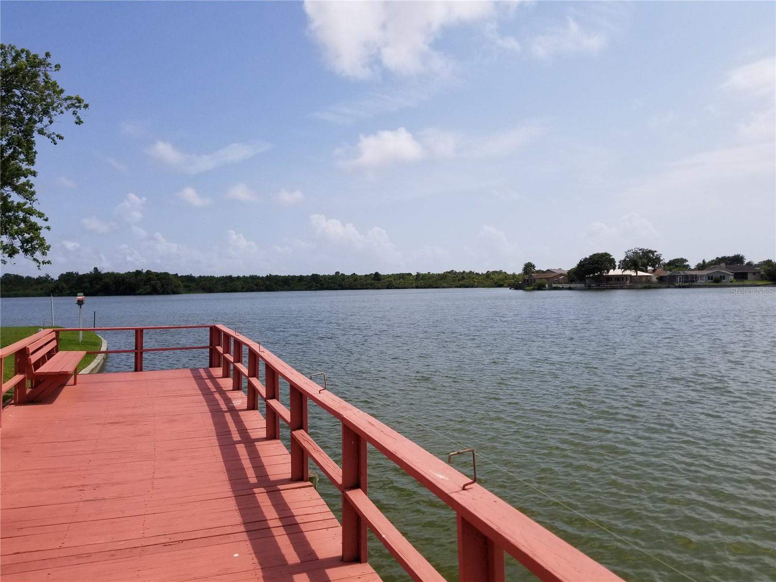 2028 MANOA DR, HOLIDAY, FL, 34691