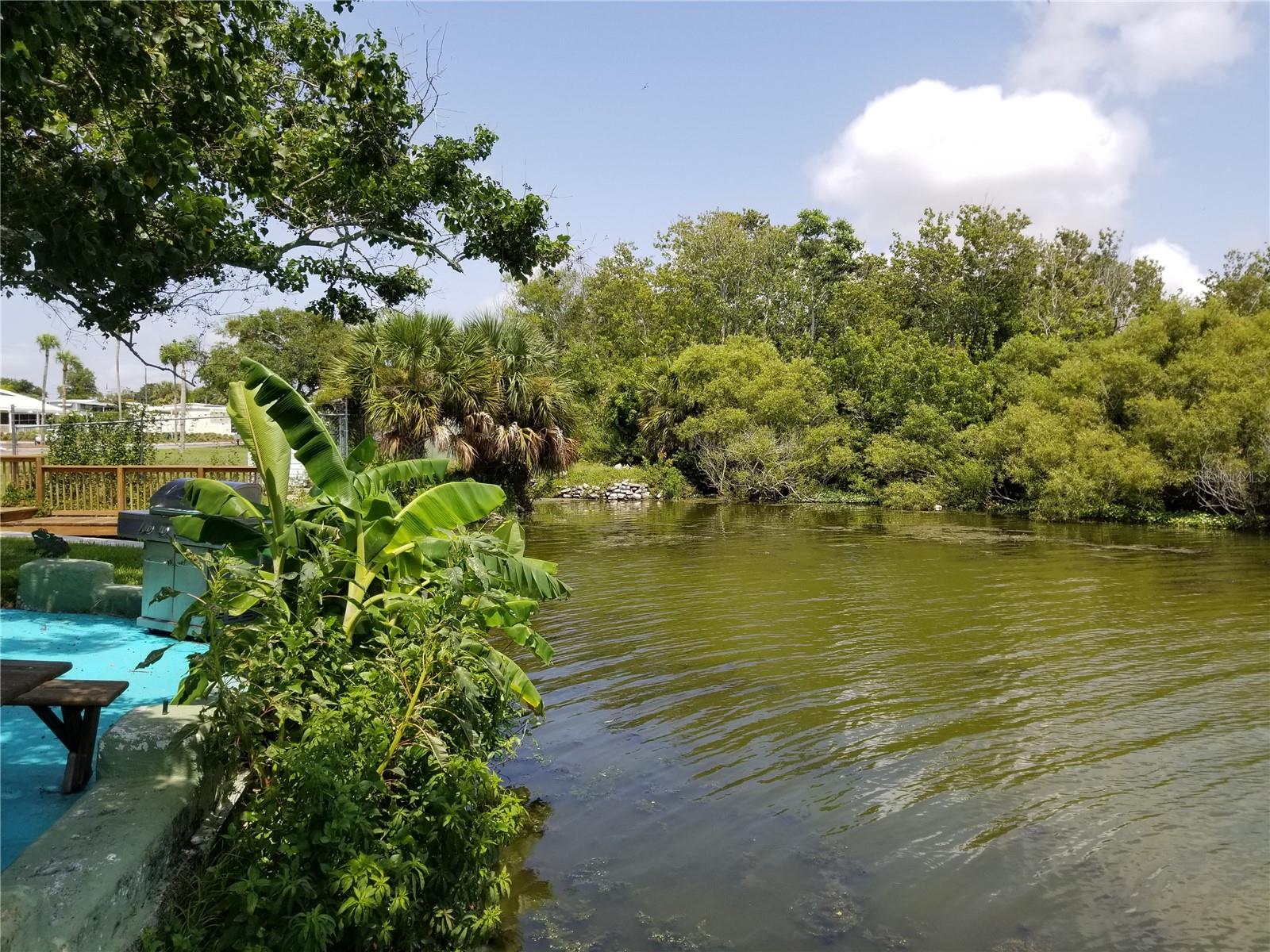 2028 MANOA DR, HOLIDAY, FL, 34691