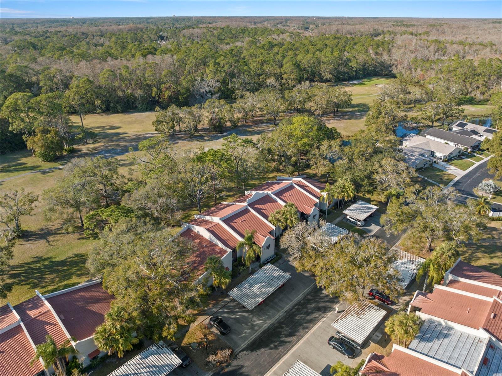 3505 TARPON WOODS BLVD #K403, PALM HARBOR, FL, 34685