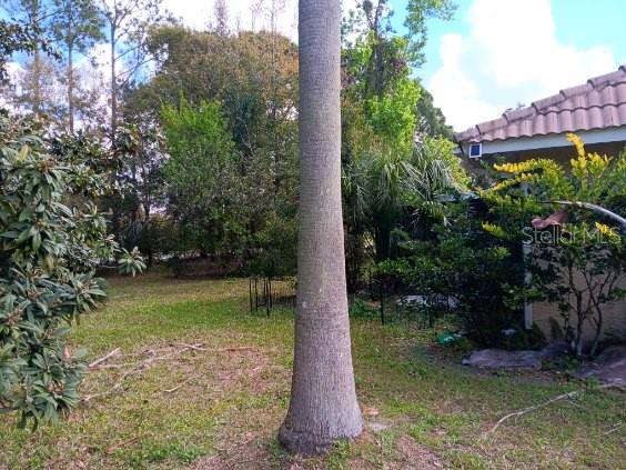 10633 WINDSOR PL, ORLANDO, FL, 32821