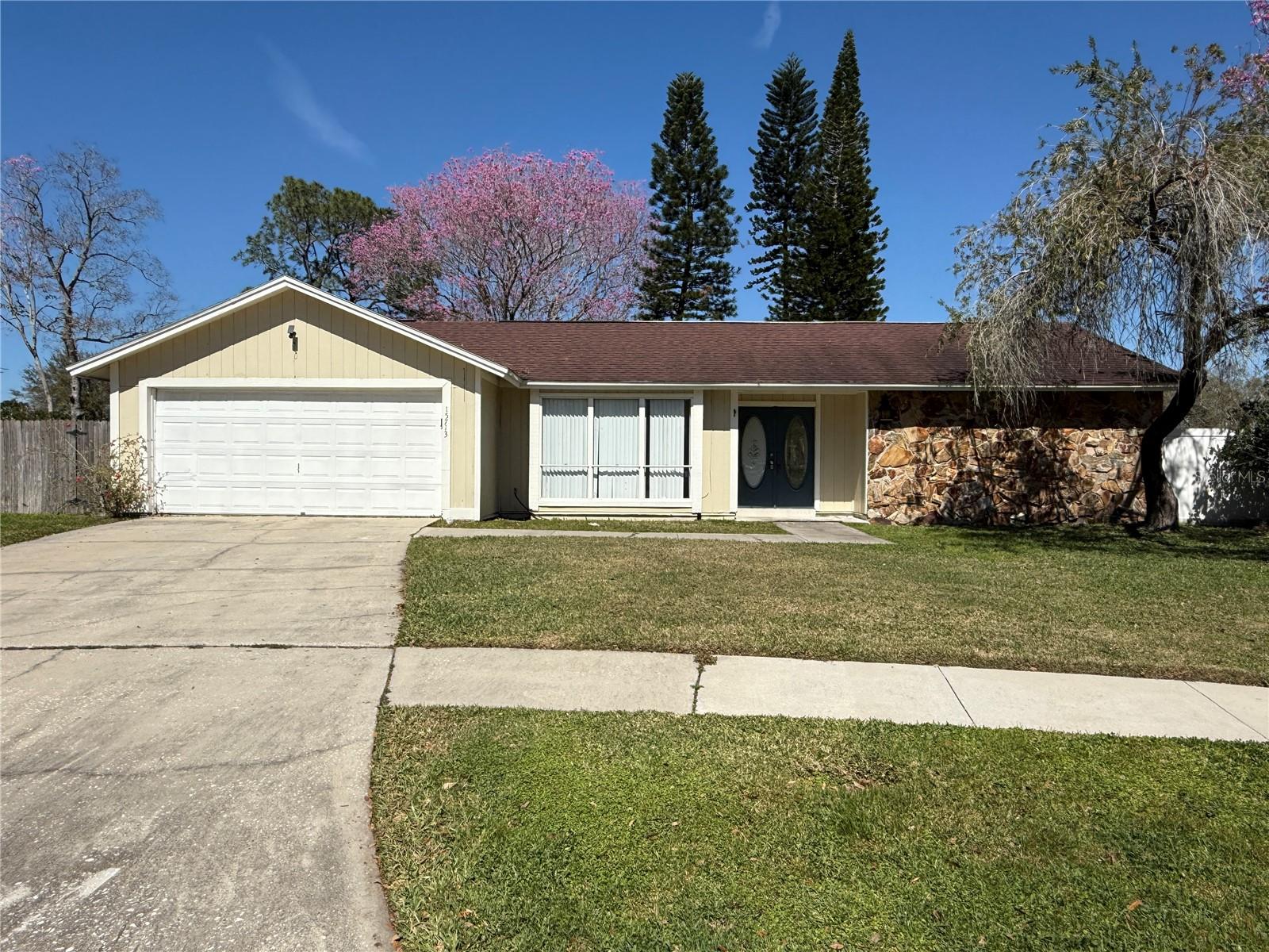 15713 BOVINE PL, TAMPA, FL, 33624
