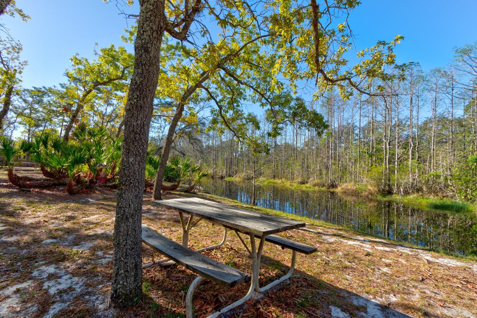 68 CROOKED PINE RD, PORT ORANGE, FL, 32128