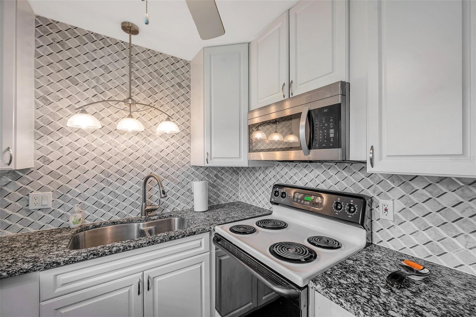 1801 BEDFORD TER #221, SUN CITY CENTER, FL, 33573