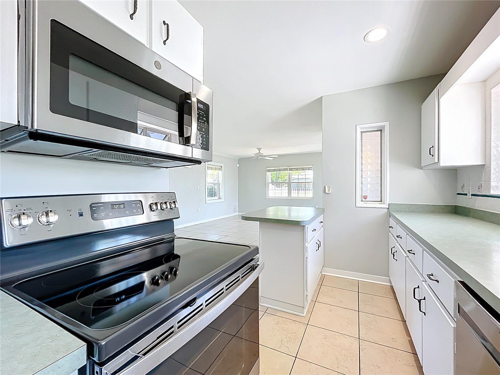 193 BAY RD, MOUNT DORA, FL, 32757